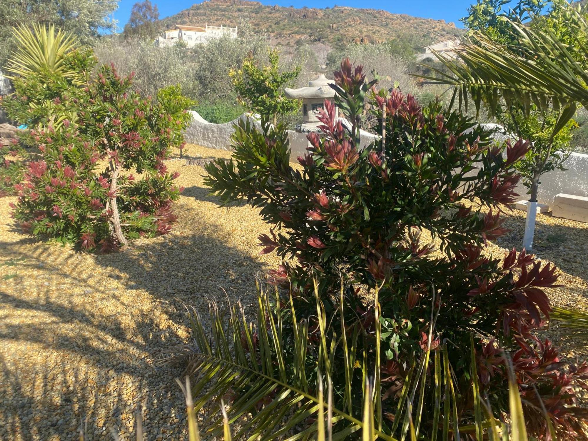 Cortijo Los Corazones Cantoria Bagian luar foto